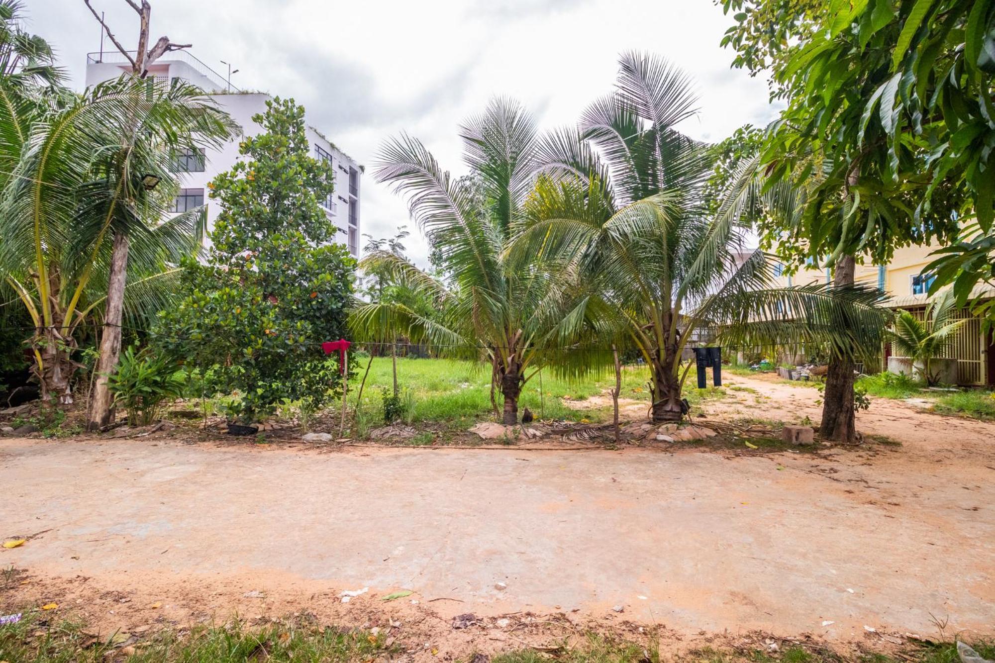 Angkor Apsara Guesthouse سيام ريب المظهر الخارجي الصورة